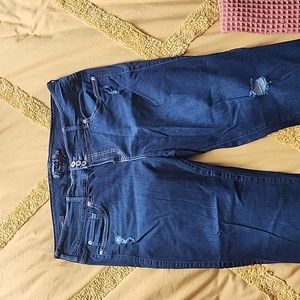 Torrid Premium Jegging